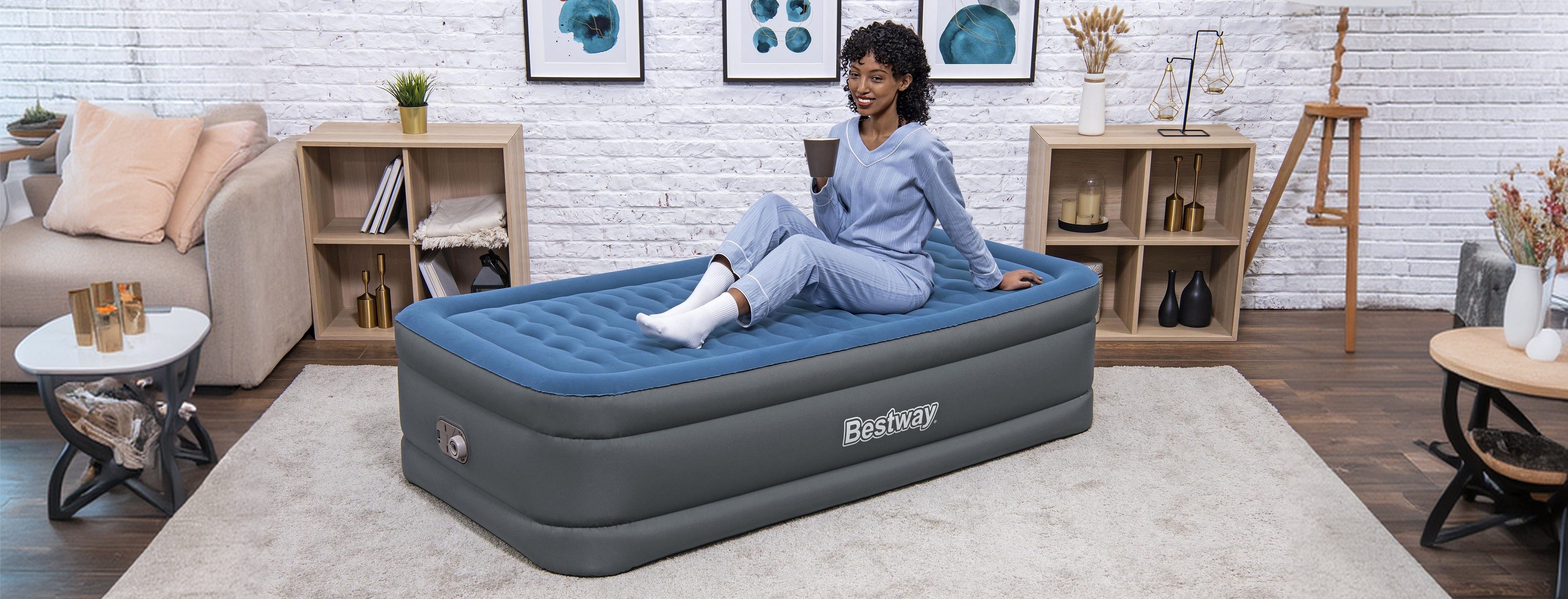 Twin Air Mattresses